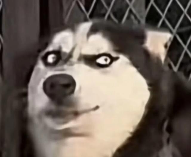 3.jpeg