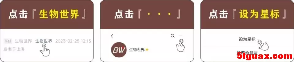 5.webp