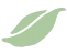 5.webp