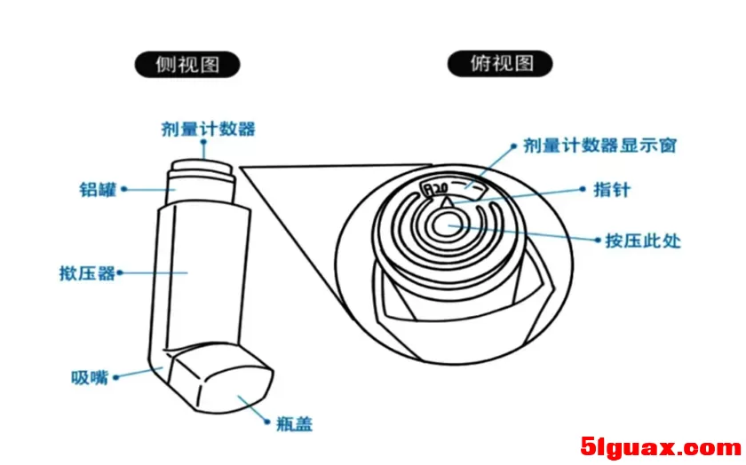 6.webp