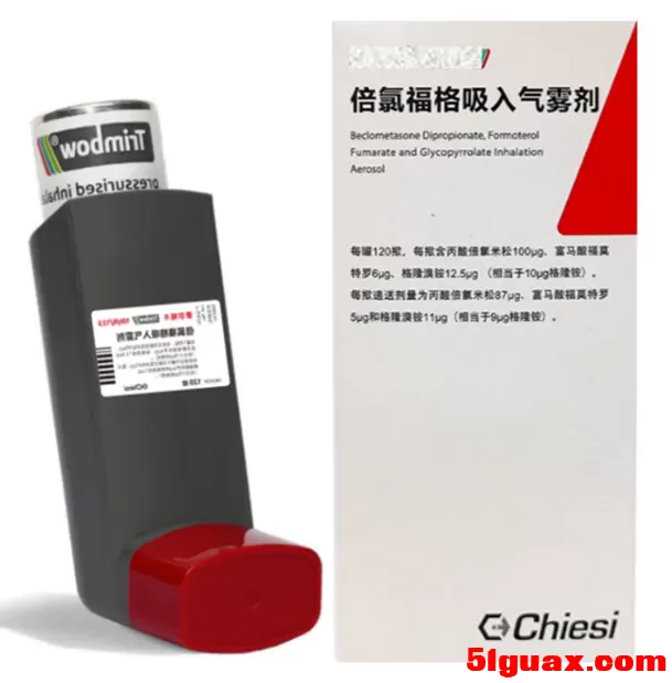 11.webp