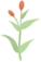 19.webp