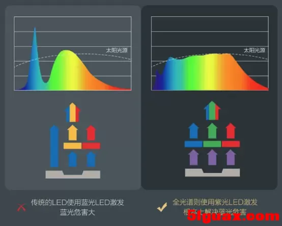 8.webp