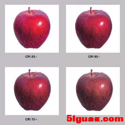 11.webp
