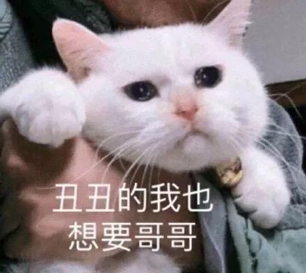 29.jpeg